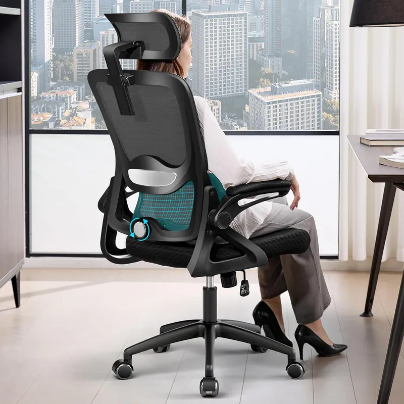 Nexthro Mesh Office Chair with Lumbar Support