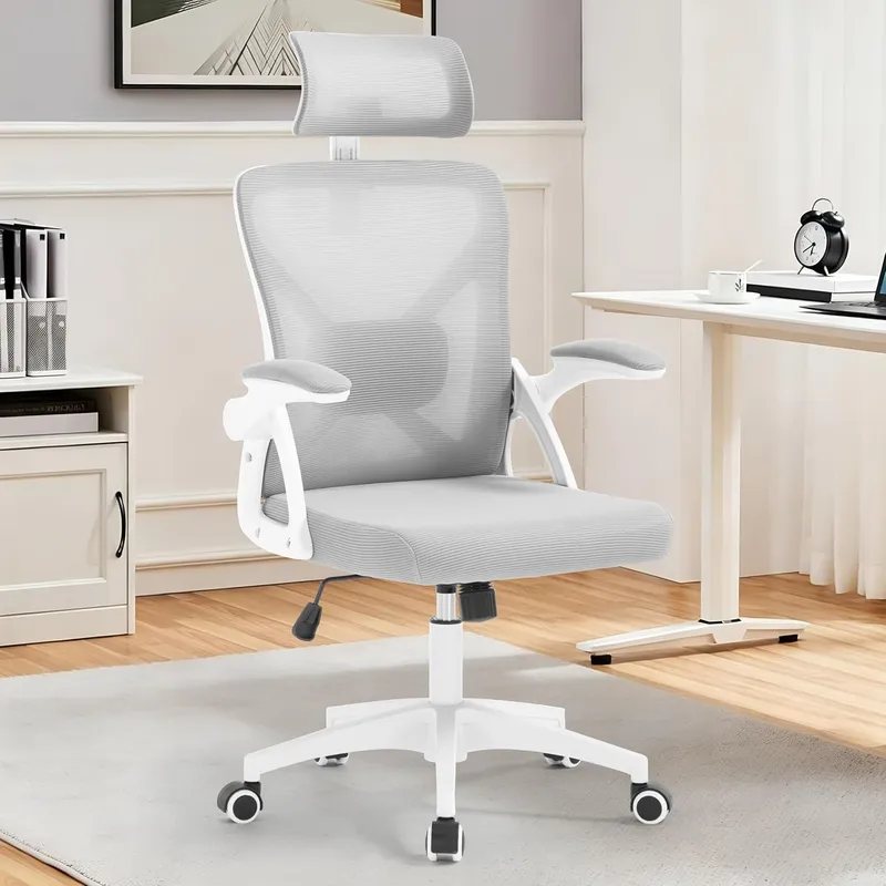 Nexthro Office Chair, Grey